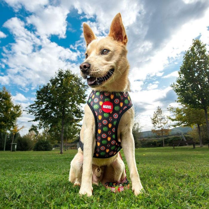 Cerdá Arnés para Perros Marvel Oficial, Talla XXS/XS, Diseño Comics Rojo para Mascotas Pequeñas 14 Cerdá Arnés para Perros Marvel Oficial, Talla XXS/XS, Diseño Comics Rojo para Mascotas Pequeñas 14