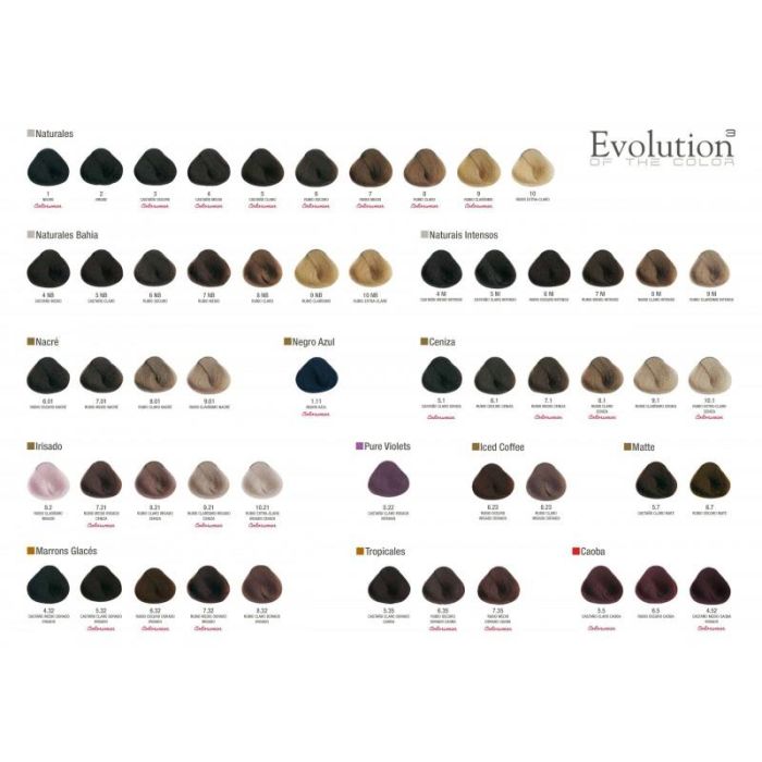 Evolution Of Color 6Nb 60 mL Alfaparf 1 Evolution Of Color 6Nb 60 mL Alfaparf 1