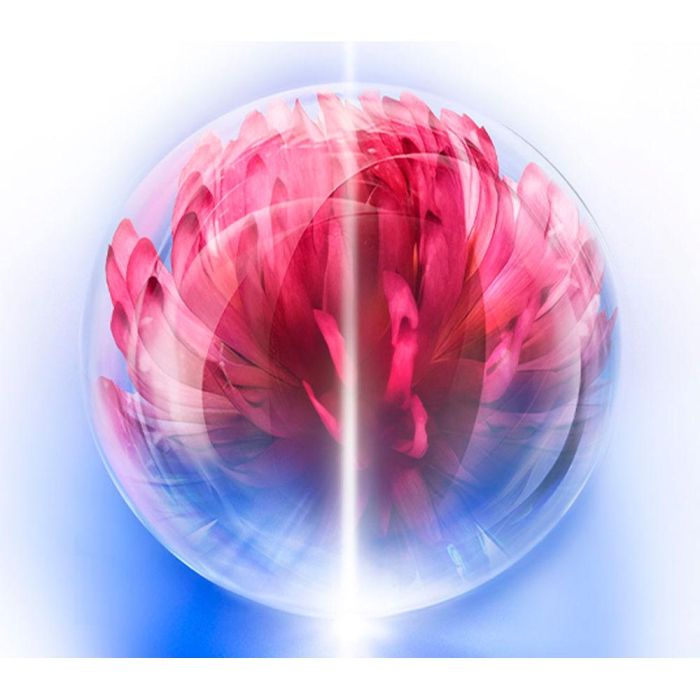 Bio-Performance Skin Hiforce, Antienvejecimiento, Mañana & Tarde, Crema, Cara, 50 ml