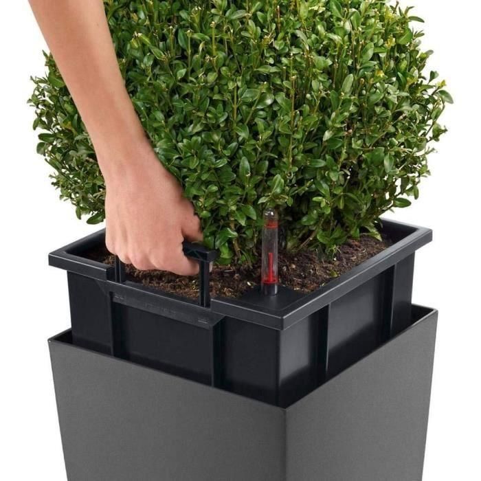 LECHUZA Jardiniere Cubico 40 TODO EN UNO Carbón 18194 1 LECHUZA Jardiniere Cubico 40 TODO EN UNO Carbón 18194 1