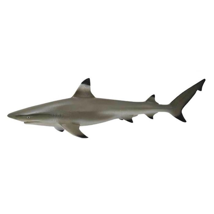Collecta 88726 Figura Tiburón Punta Negra M, Réplica a Escala Detallada de Animal Marino Pintada a Mano, Educacional, Edad +3 años Collecta 88726 Figura Tiburón Punta Negra M, Réplica a Escala Detallada de Animal Marino Pintada a Mano, Educacional, Edad +3 años