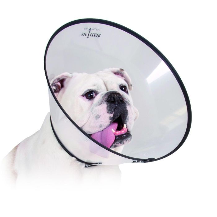 KVP Saf-T-Clear Collar Isabelino Transparente Ajustable para Perros y Gatos de 25-38 cm de Diámetro y 17 cm de Profundidad 0 KVP Saf-T-Clear Collar Isabelino Transparente Ajustable para Perros y Gatos de 25-38 cm de Diámetro y 17 cm de Profundidad 0