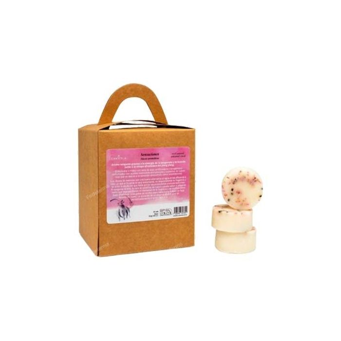 Canvela Discos Aromáticos Sensaciones - Caja de 6 unidades