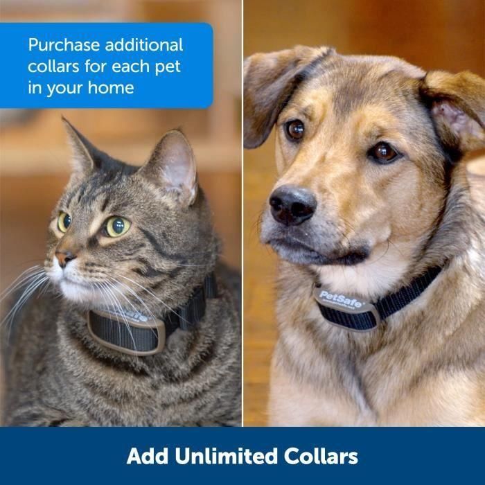 Collar adicional PETSAFE Mini Barrier - Negro - Para gatos y perros 3 Collar adicional PETSAFE Mini Barrier - Negro - Para gatos y perros 3