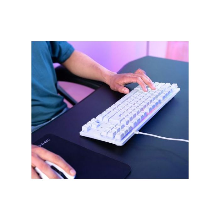 Trust Gaming 24739 Teclado Gaming GXT 833W Thado TKL Blanco Metálico Retroiluminado LED USB Anti-Ghosting Sostenible 5 Trust Gaming 24739 Teclado Gaming GXT 833W Thado TKL Blanco Metálico Retroiluminado LED USB Anti-Ghosting Sostenible 5