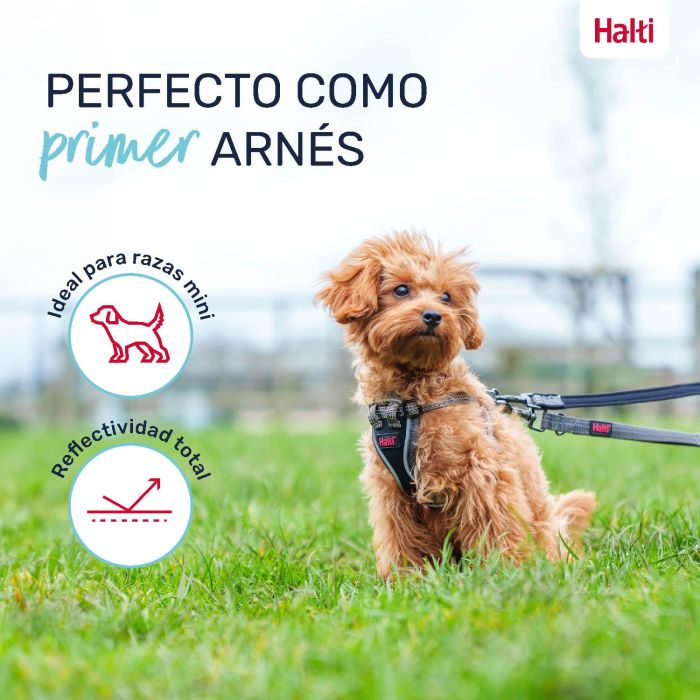 Halti Arnés Anatomy para Cachorro y Perro Pequeño Ajustable Reflector Talla XXS Cuerpo 21-30cm Cuello 22-30cm Gris 5