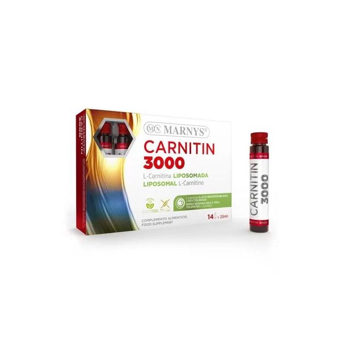 Carnitin 3000