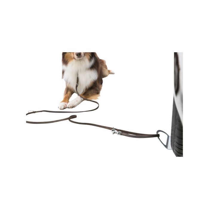 Aparca perros Trixie 6