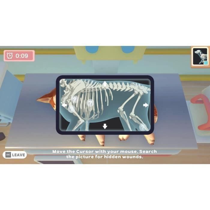 Microids My Universe: Panda Pandic Edition - Juego para Nintendo Switch 4