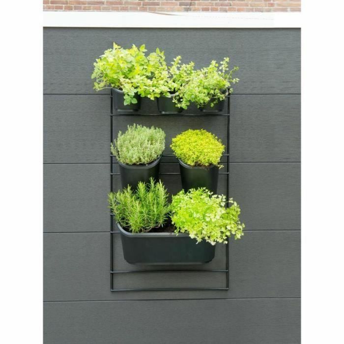 Jardinera de pared - Kit soporte de pared + 3 macetas (0,9L) + 2 macetas (2,5L) + 1 jardinera (5,4L) - Negro - Al 84 x L 48 cm - NATURE 3