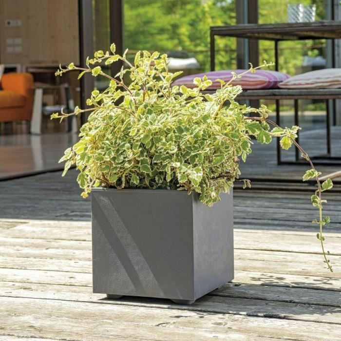 Deroma 9H824SZ Maceta Cubo Millennium R Antracita con reserva de agua 25 cm 3 Deroma 9H824SZ Maceta Cubo Millennium R Antracita con reserva de agua 25 cm 3
