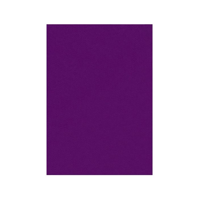 Fieltro Liderpapel 50x70 cm Violeta 160 gr-M2 10 unidades 1