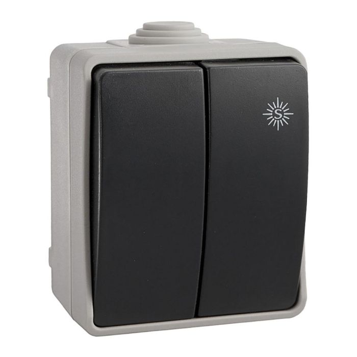 Doble conmutador estanco 10 ax 250v~. ip54 (retractilado) Doble conmutador estanco 10 ax 250v~. ip54 (retractilado)