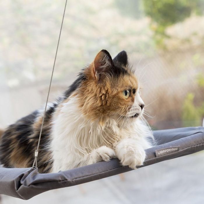 Hamaca Colgante para Gatos Catlax InnovaGoods 5