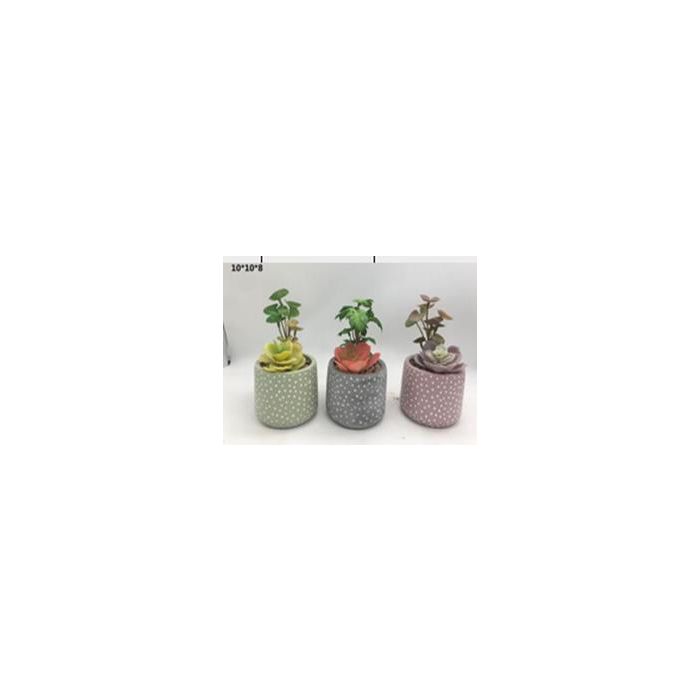 DKD Home Decor Planta Artificial Decorativa Set de 6 Unidades de 18 cm de Alto con Maceta de Cemento y PE Colores Surtidos
