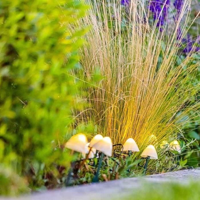 Lumisky CHAMPY - 10 Mini Setas con Luz Solar para Caminos - LED Blanco Cálido - 3,8 m 3