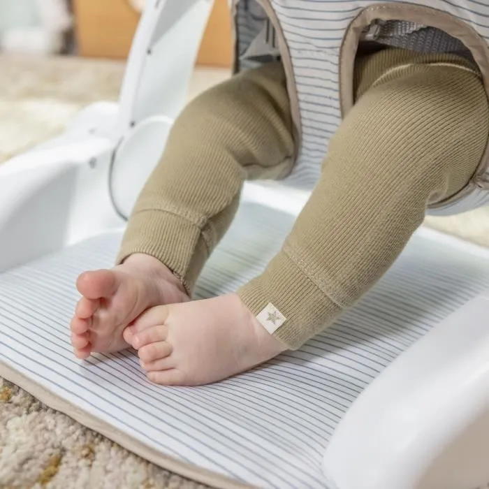 Ingenuity ING74451169302 Asiento de Aprendizaje Prop Spot, 3 Posiciones, Tableta y 2 Juguetes, Casi la Cebra 3