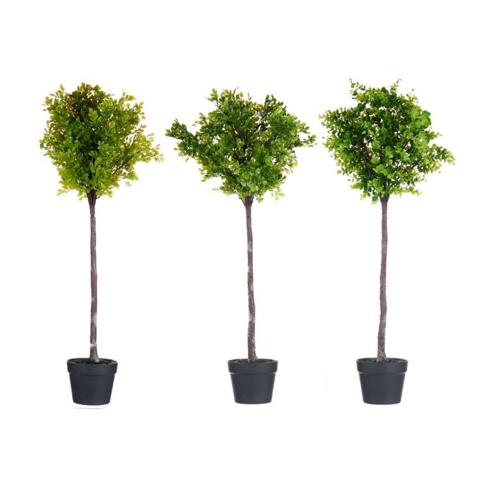 Arbol Helecho Verde Surtidos Ibergarden 35X96CM (3 Unidades) 1 Arbol Helecho Verde Surtidos Ibergarden 35X96CM (3 Unidades) 1