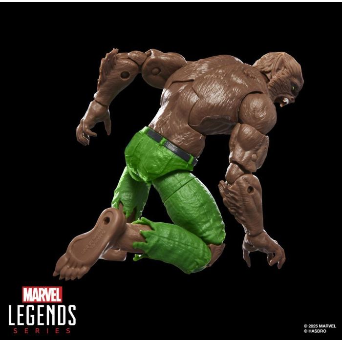 Hasbro Marvel Legends Series Figura Werewolf By Night de Marvel, 15 cm, con Piezas para Executioner Build-A-Figure