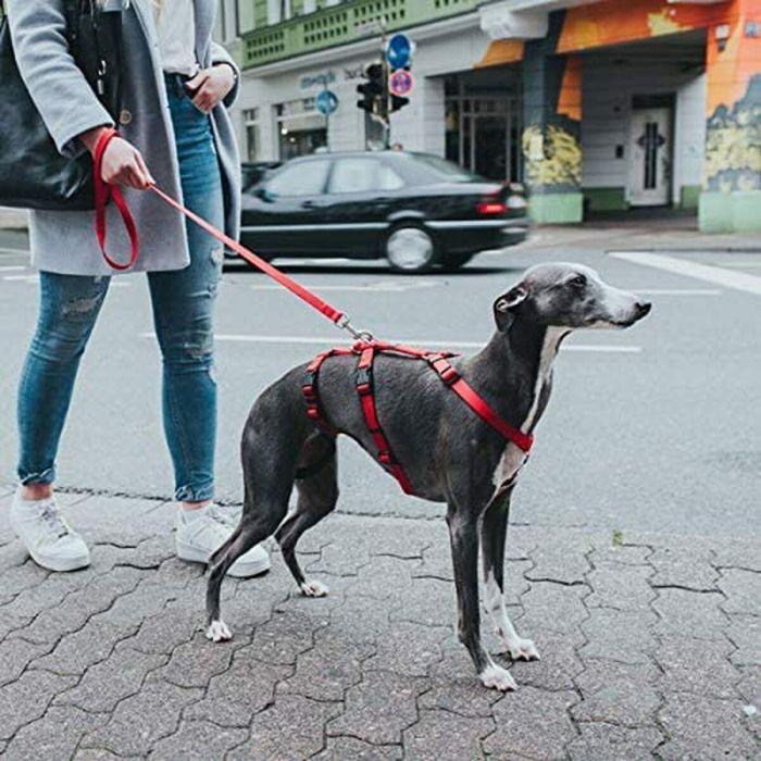 Arnés para Perro Hunter 48-70 cm Rojo S/M 36-51 cm 1 Arnés para Perro Hunter 48-70 cm Rojo S/M 36-51 cm 1
