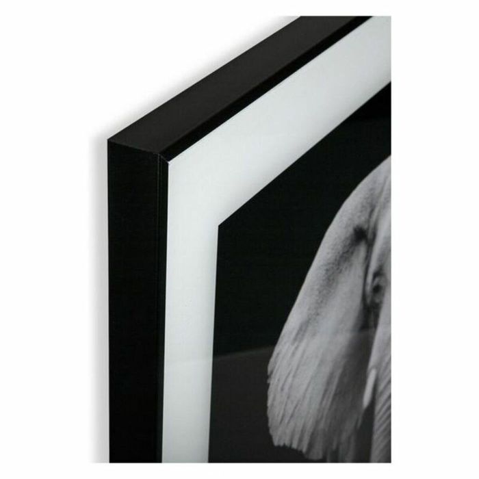 Cuadro Versa Cristal 2 x 50 x 50 cm 2