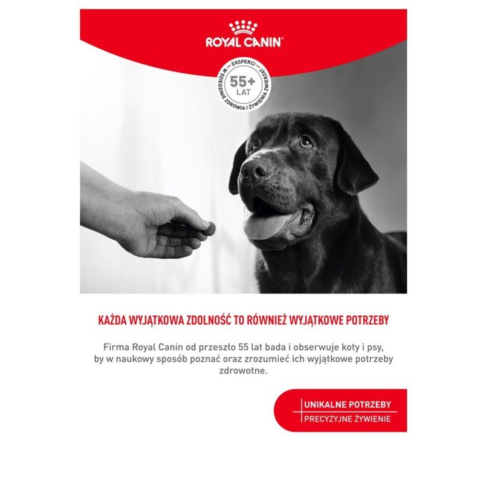 Snack para Perros Royal Canin Supplements Dog Digestion Adult 160 g 11 Snack para Perros Royal Canin Supplements Dog Digestion Adult 160 g 11