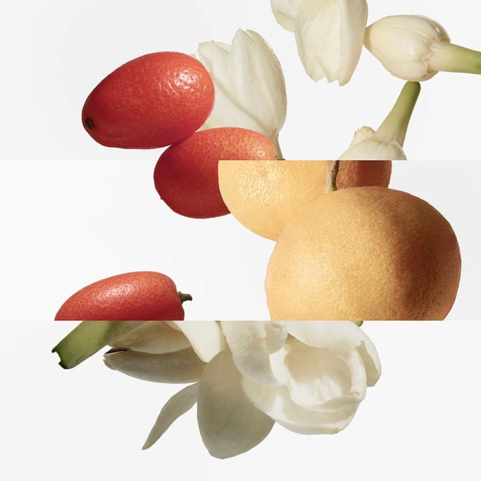 HERMÈS LE JARDIN DE MONSIEUR LI Eau de Toilette Vaporizador Unisex 100 ml 2