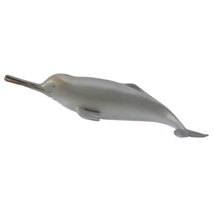 Delfin Del Rio Ganges -M- 88611 Collecta Delfin Del Rio Ganges -M- 88611 Collecta