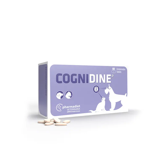 Cognidine 60 Comprimidos