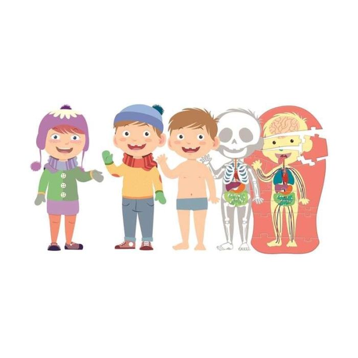 El cuerpo humano 1 El cuerpo humano 1