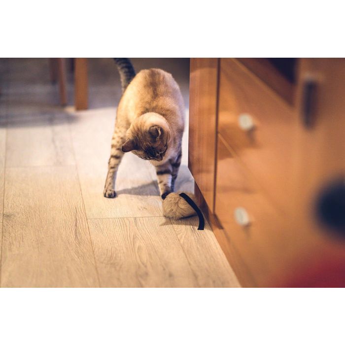 Gloria Juguete Ratoncito Calatrava para Gato, Piel de Conejo 100% Natural y Sostenible | Activa Instinto de Caza Felino, Fabricado en España 2