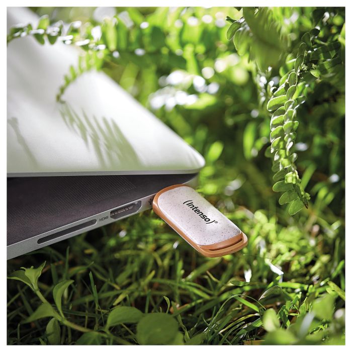 Intenso Green Line USB 3.2 Gen 1 128 GB con Tapa - Beige/Marrón 3