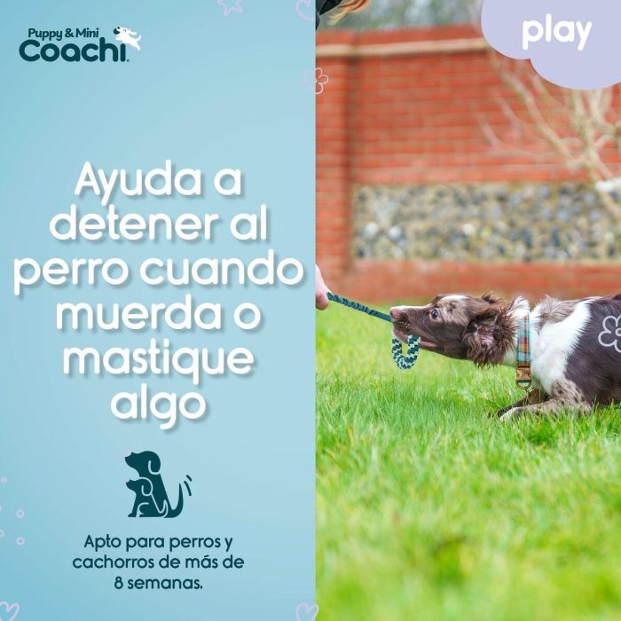 Arnés para Perro Coachi 2