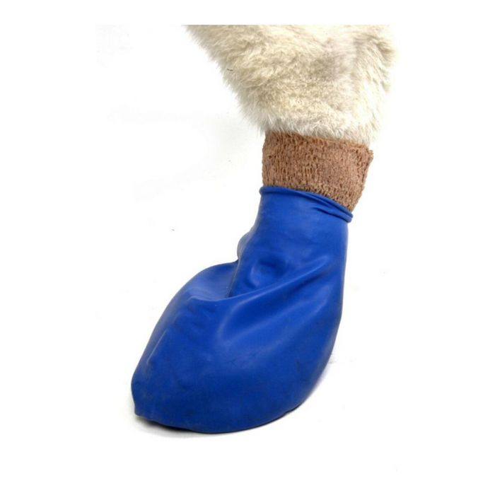 Pawz Botas Para Perro Verde XL 12Botas 6 Pawz Botas Para Perro Verde XL 12Botas 6