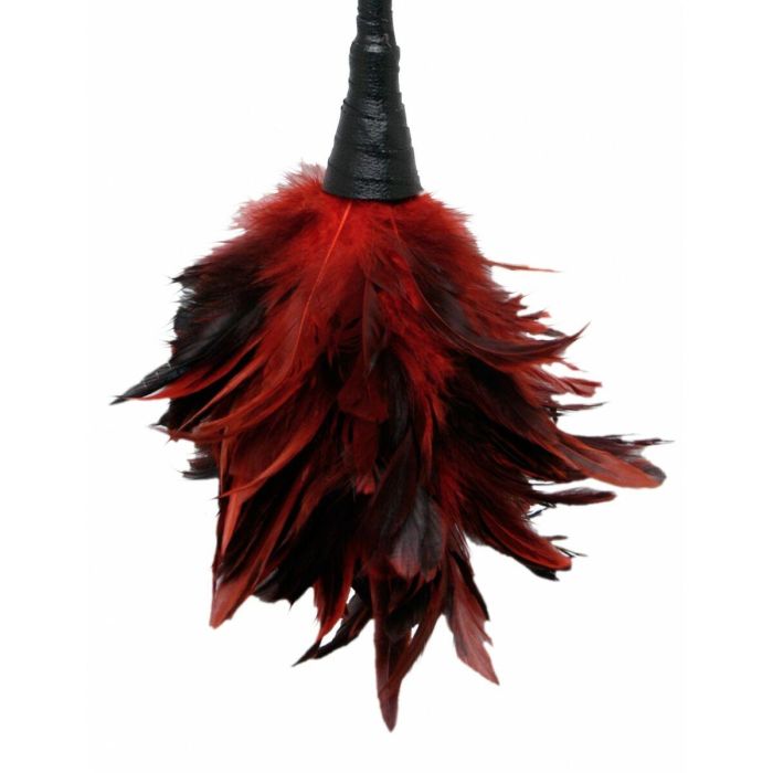 Plumas Eróticas Pipedream Fetish Fantasy Series Rojo 1