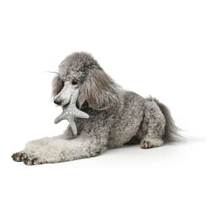 Juguete Para Perro Skagen Estrella M 3 Juguete Para Perro Skagen Estrella M 3