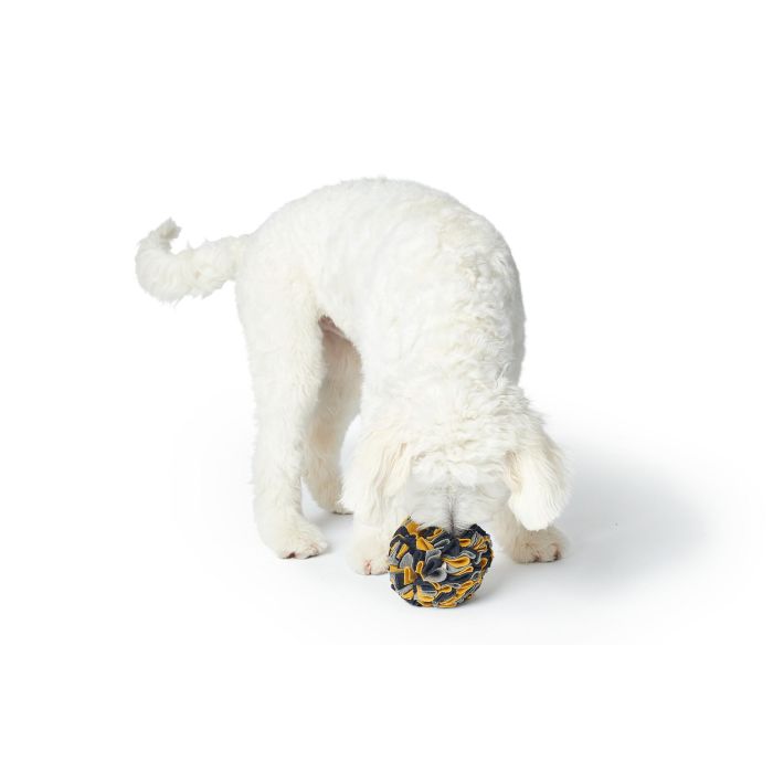 Hunter Juguete Olfativo Eiby Bola para Perros 5 cm | Pelota Suave de Lana y Poliéster Reciclado | Sostenible y Lavable 0 Hunter Juguete Olfativo Eiby Bola para Perros 5 cm | Pelota Suave de Lana y Poliéster Reciclado | Sostenible y Lavable 0