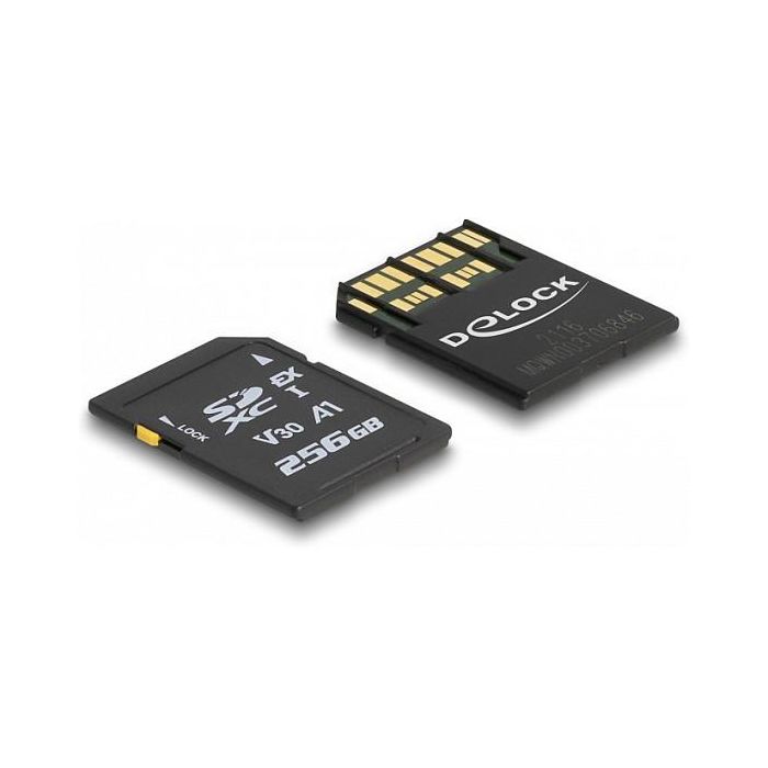 DeLOCK Tarjeta de Memoria SD Express 256 GB, UHS-I, Clase 3 (U3), V30, Velocidades Lectura/Escritura hasta 858/804 MB/s 1