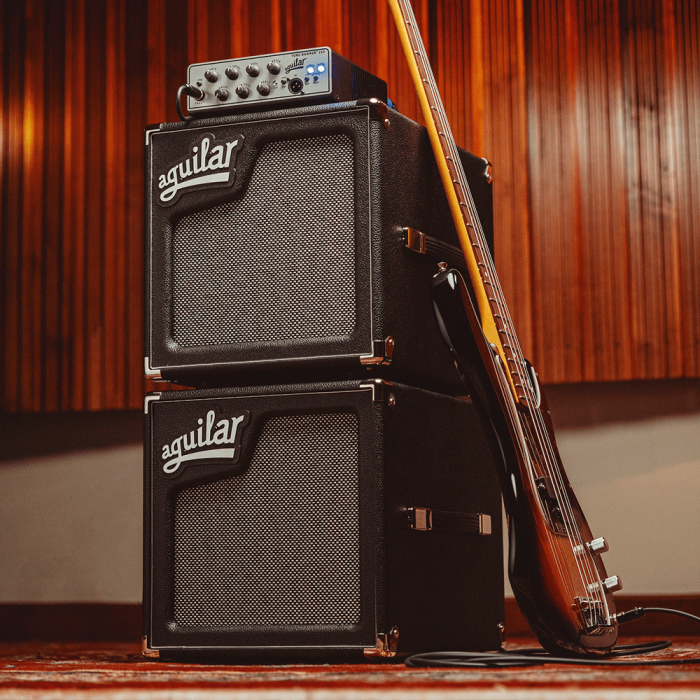 Pantalla Bajo Aguilar Sl Series 1X10" 150W (8?) - Negra 1 Pantalla Bajo Aguilar Sl Series 1X10" 150W (8?) - Negra 1