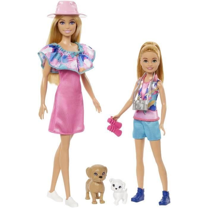 Barbie Stacie Al Rescate Pack 2 Hermanas Hrm09 Mattel