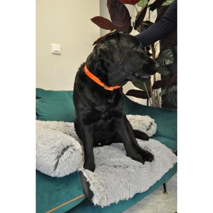 Aime Collar de caza YAGO para perros grandes, PVC Ultra Resistente Hilos Nylon, Naranja Flúor, 63-67cm 2