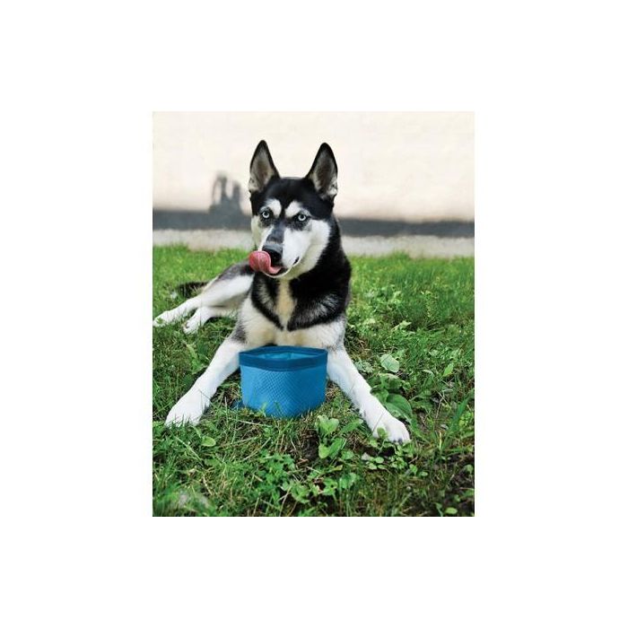 Petsafe Kurgo Zippy Bowl para Viaje, Azul, 1.4 L