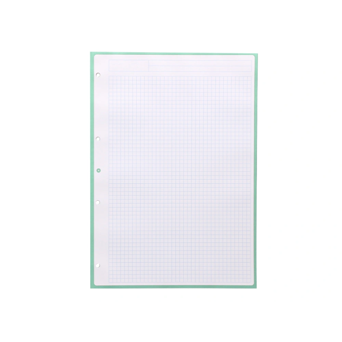 Antartik Recambio A4 80 hojas 90gr cuadro 5 mm 4 taladros 1 banda marco color menta 5