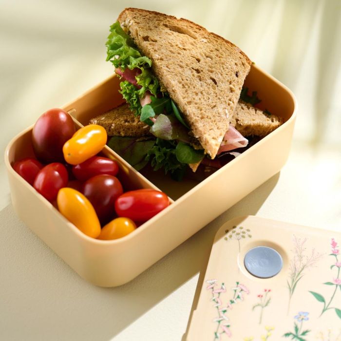 Day Fiambrera 1 L con Divisor Móvil y Banda Elástica de Cierre, 19x11x6 cm, Colores Surtidos 1