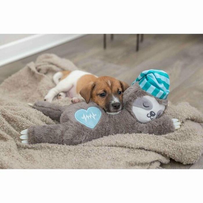 Peluche para perros Trixie Poliéster Felpa Oso perezoso 34 cm Multicolor 3 Peluche para perros Trixie Poliéster Felpa Oso perezoso 34 cm Multicolor 3