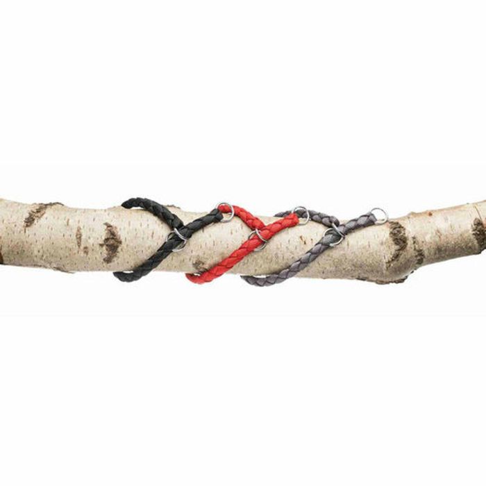 Correa para Perro Trixie New Cavo Rojo L/XL 1 Correa para Perro Trixie New Cavo Rojo L/XL 1