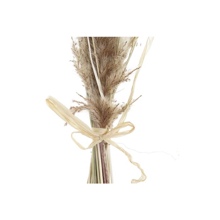 DKD Home Decor Ramo de Flor Seca, Marrón Beige, 6 Unidades, Dimensiones 3 x 53 x 12 cm 2 DKD Home Decor Ramo de Flor Seca, Marrón Beige, 6 Unidades, Dimensiones 3 x 53 x 12 cm 2