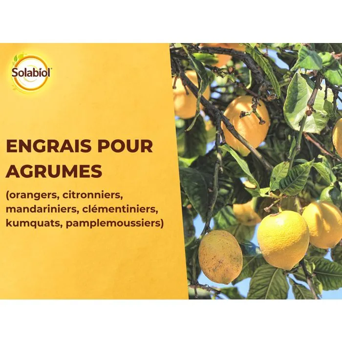 Solabiol Fertilizante Cítrico SOAGY15 - 1.5 Kg | Promueve Fructificación y Hojas Verdes 3 Solabiol Fertilizante Cítrico SOAGY15 - 1.5 Kg | Promueve Fructificación y Hojas Verdes 3