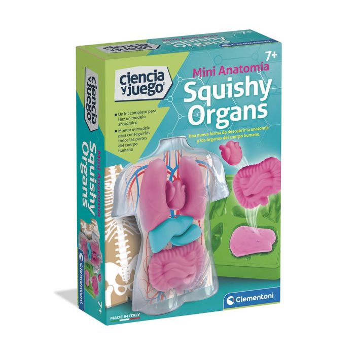 Kit Anatomía Squishy Organs 55577 Clementoni Kit Anatomía Squishy Organs 55577 Clementoni