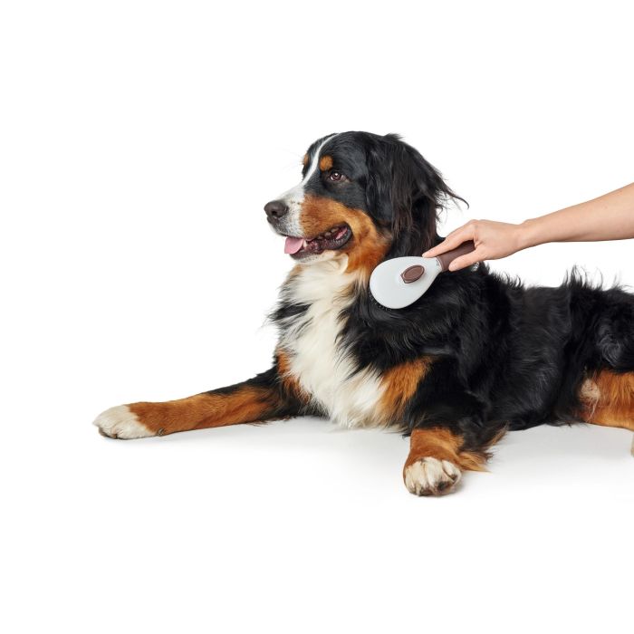 Hunter Cepillo Autolimpiable Talla S con Botón Integrado para Retirar Pelo Muerto, Empuñadura Ergonómica Marrón para Perros. 0 Hunter Cepillo Autolimpiable Talla S con Botón Integrado para Retirar Pelo Muerto, Empuñadura Ergonómica Marrón para Perros. 0